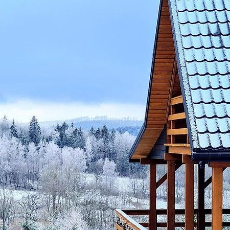 Osada Sierpnica - Uroczy Dom Z Kominkiem I Balia W Gorach Sowich Buitenkant foto