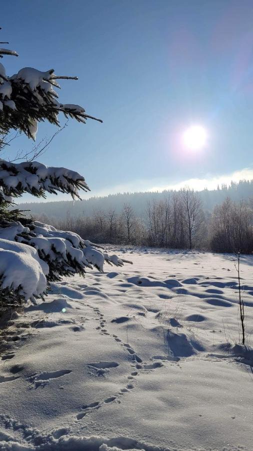 Osada Sierpnica - Uroczy Dom Z Kominkiem I Balia W Gorach Sowich Buitenkant foto