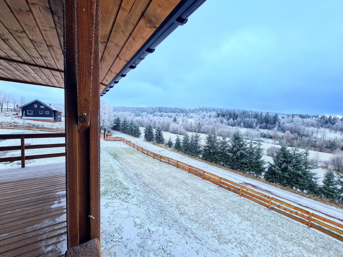 Osada Sierpnica - Uroczy Dom Z Kominkiem I Balia W Gorach Sowich Buitenkant foto